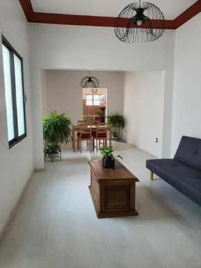 HERMOSO DEPARTAMENTO AMPLIO COLONIA ROMA SUr